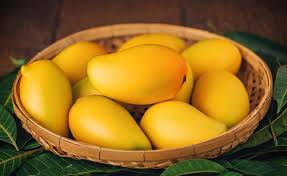 Alphonso Mangoes